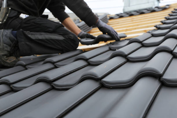 Best Roof Insulation Installation  in Windy Hills, KY